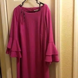Pink Dress with bell sleeves and zipper in the back of the dress.